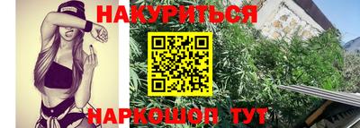 хмурый Кингисепп