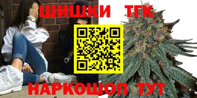 хмурый Кингисепп