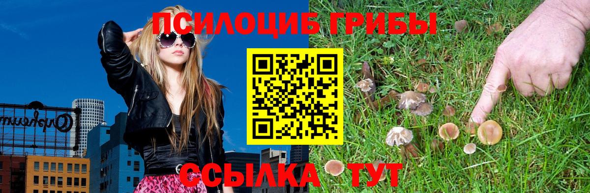 Торжок  Псилоцибиновые грибы прущие грибы  Псилоцибиновые грибы MAGIC MUSHROOMS  Вход с VPN 