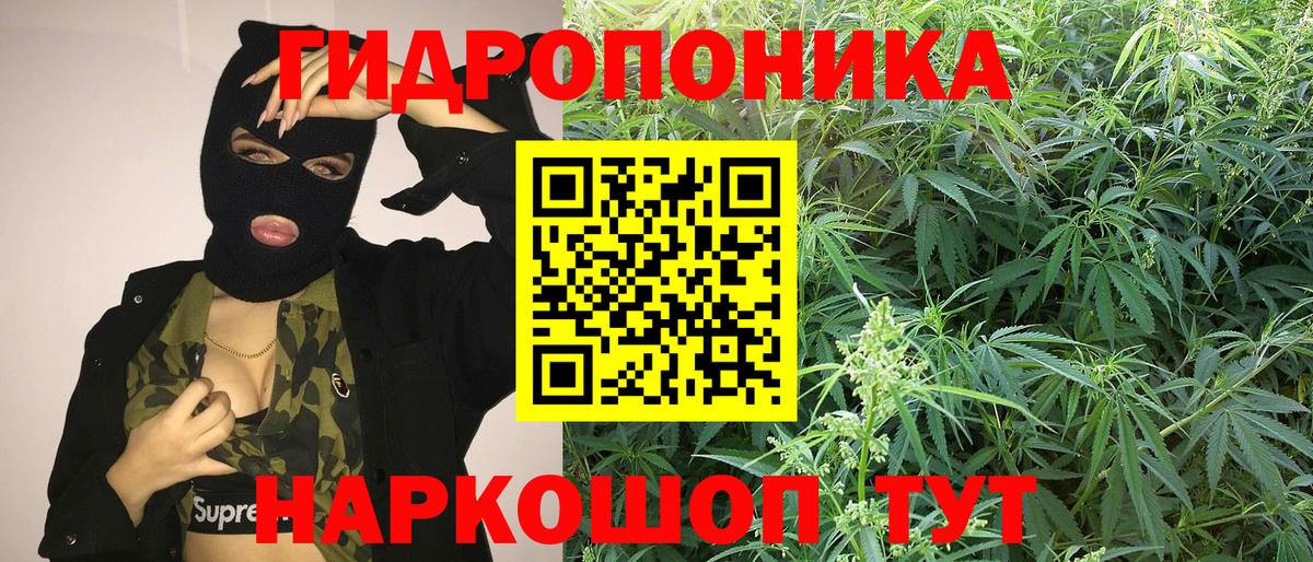 МАРИХУАНА SATIVA & INDICA  Каннабис семена  Торжок  Каннабис семена  Марихуана планчик  Вход с VPN 